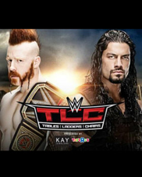 WWE TLC 桌梯椅大賽2015